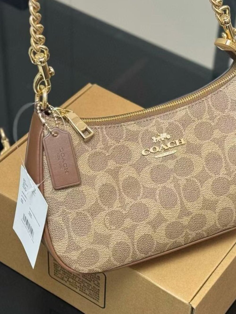 Coach Brown Teri Signature Crescent shoulder Bag with Gold Hardware Ladies' hand